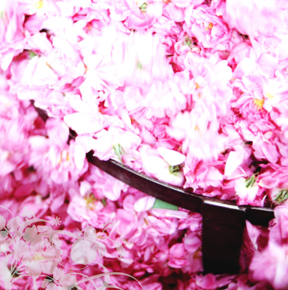 Kâshân Rose, 100ml refillable – The Different Company