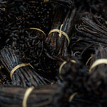 La vanille, un voyage extrême