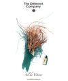 Sel de Vetiver