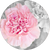 <center>Les floraux